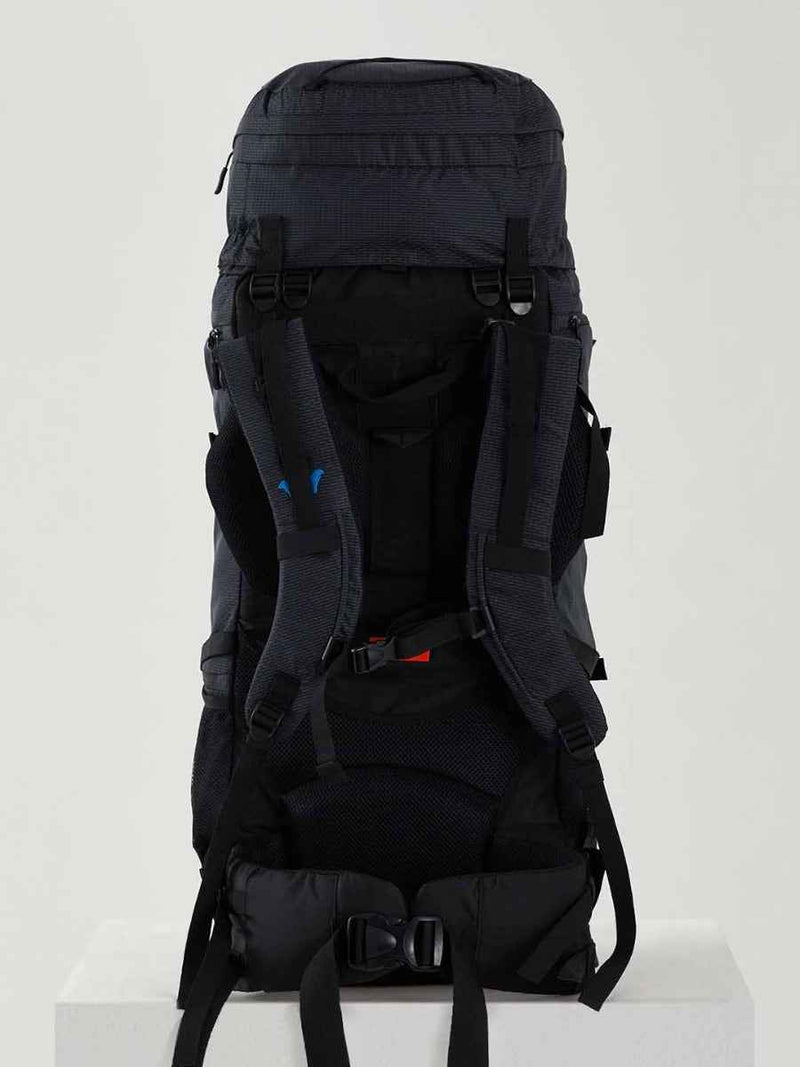 Wildcraft Gangotri 65 L Rucksack