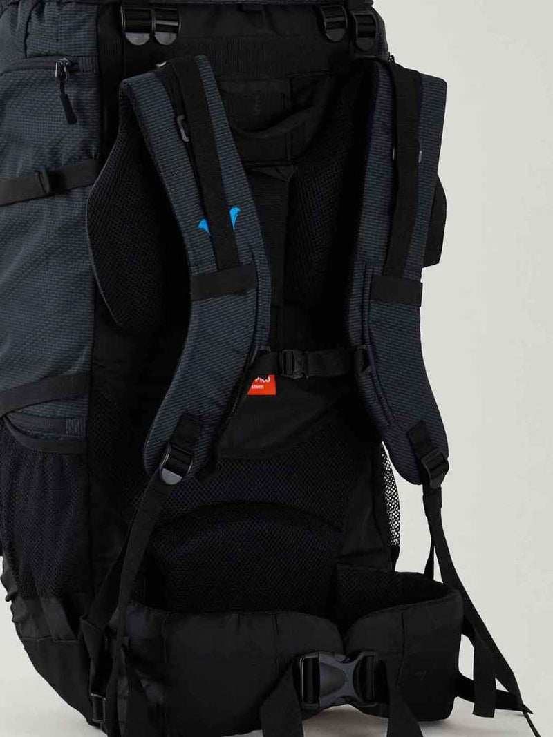 Wildcraft Gangotri 65 L Rucksack