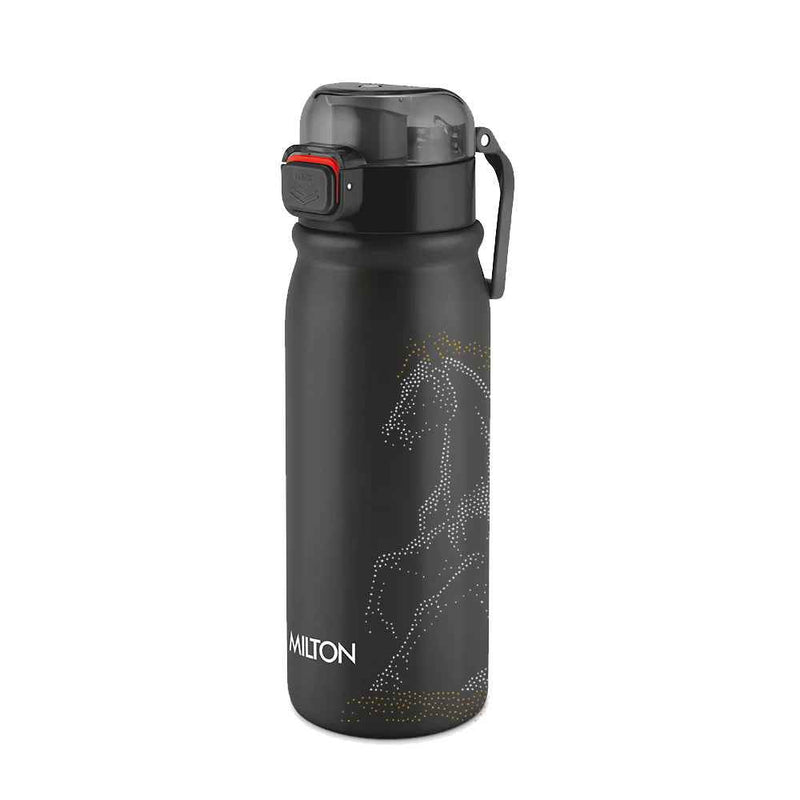 Milton Reva UV Design Stainless Steel Bottle -