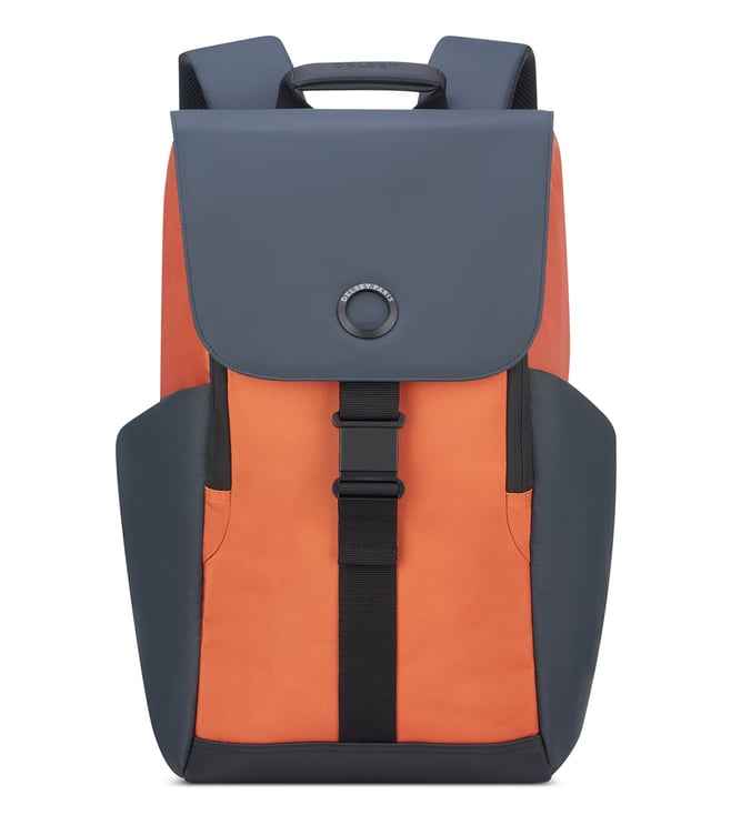 Delsey Paris Securflap Laptop Backpack