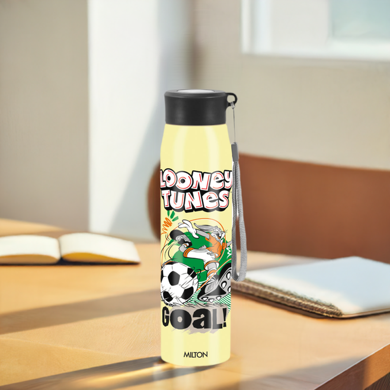 Milton Handy 3D Design Looney Tunes Stainless Steel Bottle