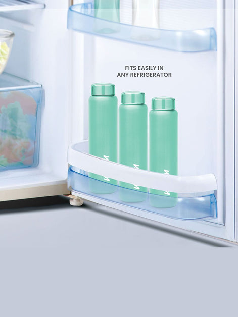 Milton Aqua Stainless Steel Water Bottle