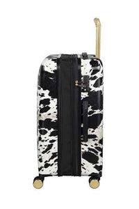 IT Luggage Sheen Fashion Hard Trolley
