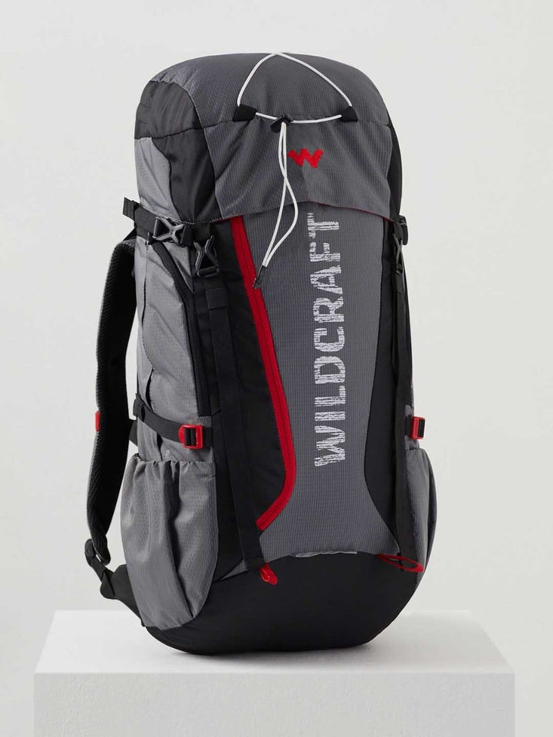 Wildcraft Trailblazer 40 L trekking rucksack in Black Grey - back panel view