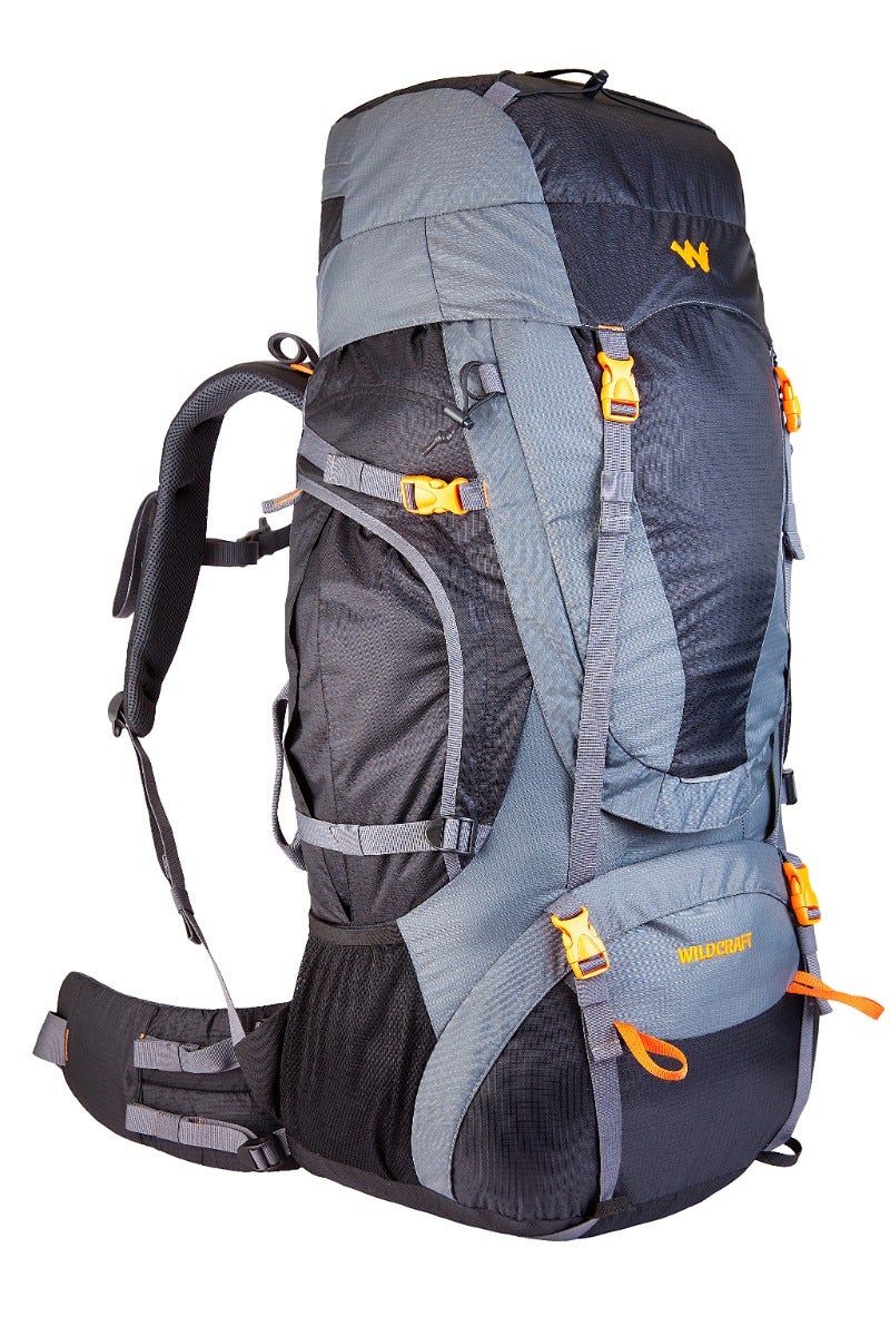 Wildcraft Trailblazer 60 L trekking rucksack in Black - back panel view