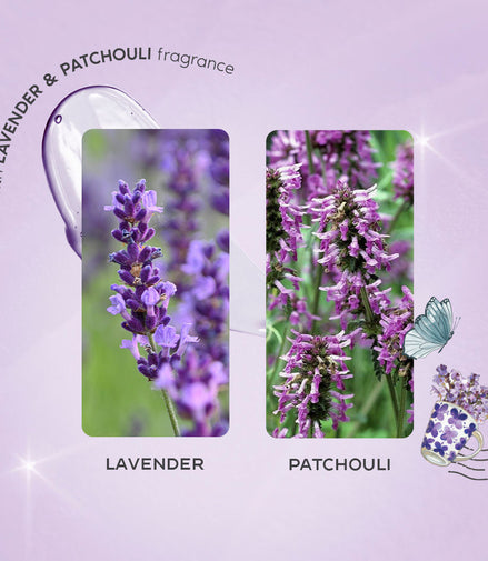 Nykaa Wanderlust Fragrance Body Mist - French Lavender