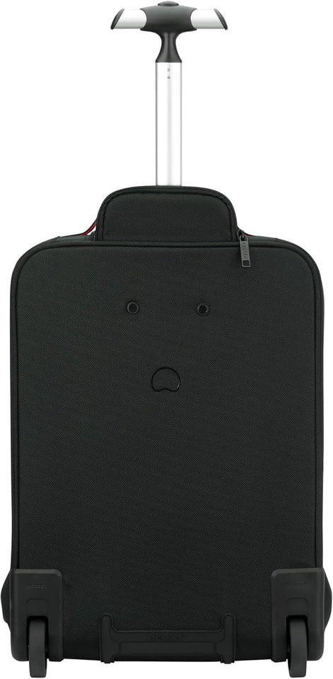 DELSEY PARIS Parvis Plus Laptop Backpack