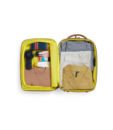 American Tourister Citycove Laptop Backpack Brown