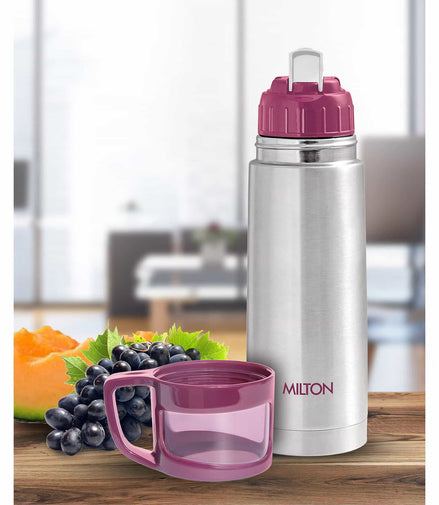 Milton Glassy Thermosteel Flask