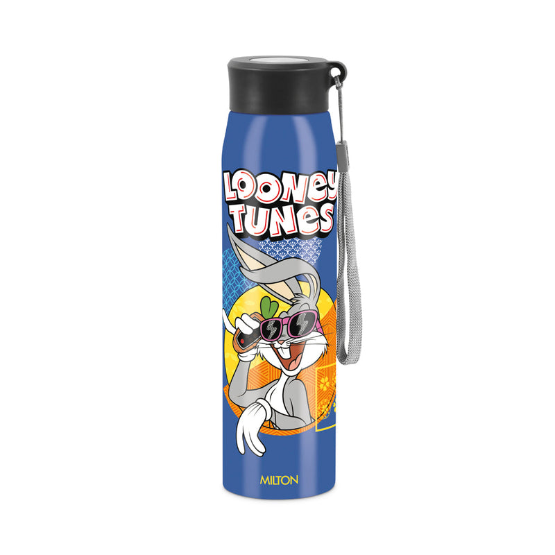 Milton Handy 3D Design Looney Tunes Stainless Steel Bottle