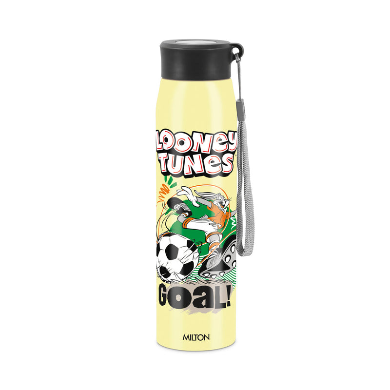 Milton Handy 3D Design Looney Tunes Stainless Steel Bottle