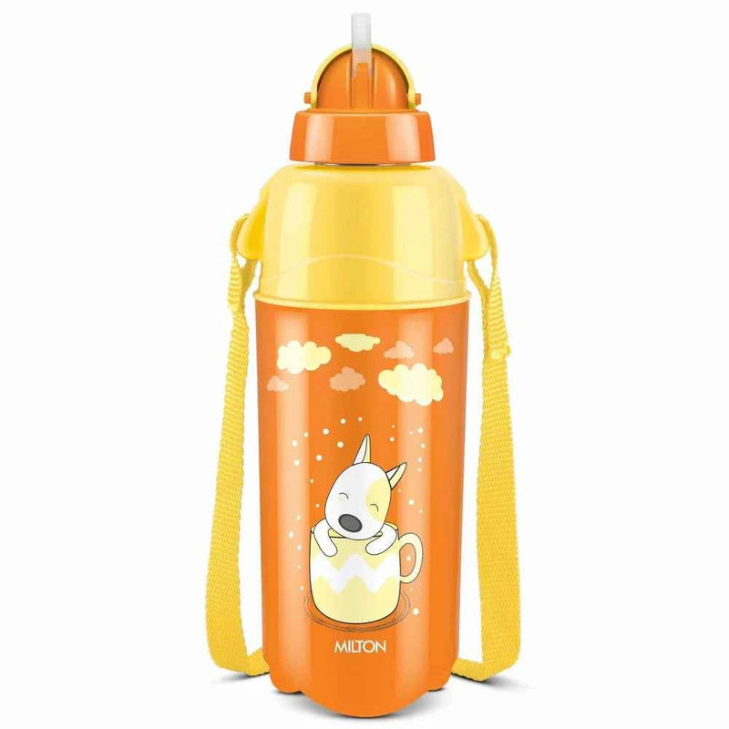 Kool Trendy Bottle (Milton) - image 1 of 11 - Water Bottles