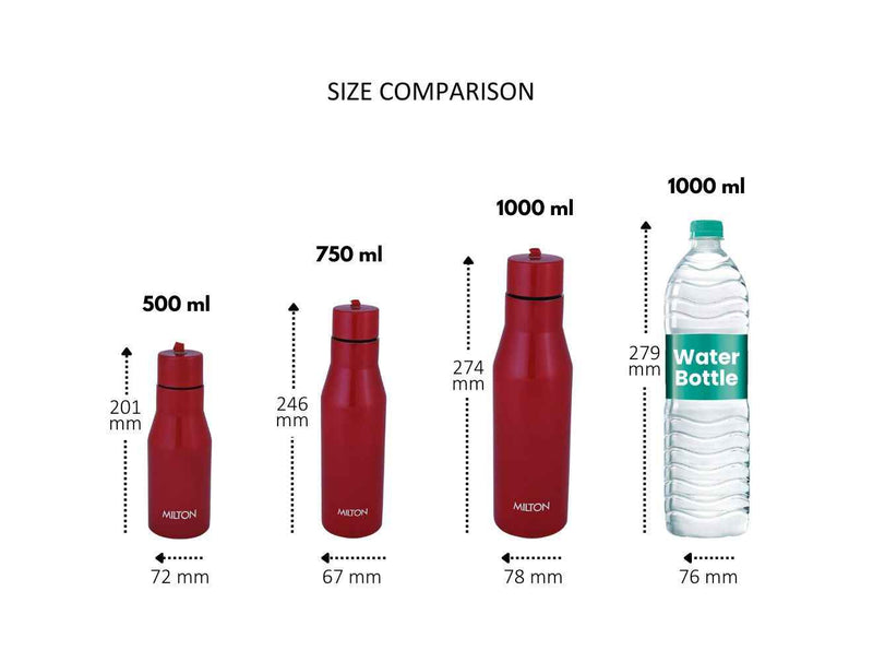 Milton Super Stainless Steel Bottle
