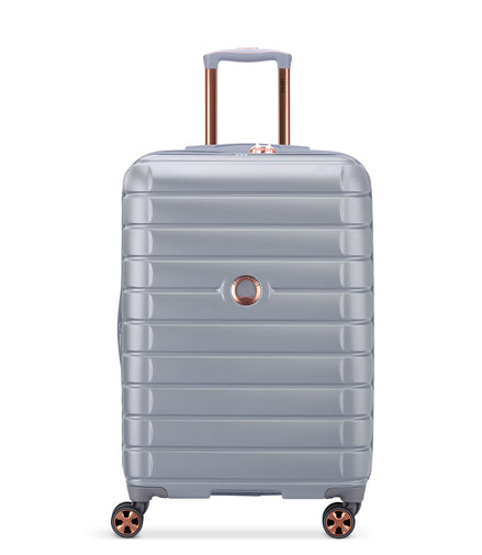Delsey Paris Shadow 5.0 Hardside Striped Checked Luggage Platinum