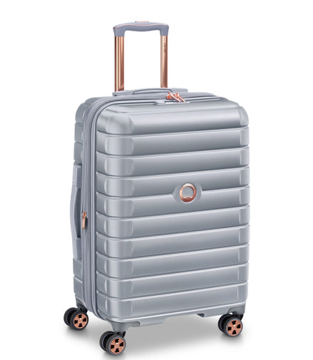 Delsey Paris Shadow 5.0 Hardside Striped Checked Luggage Platinum