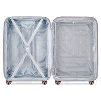 Delsey Paris Shadow 5.0 Hardside Striped Checked Luggage Platinum