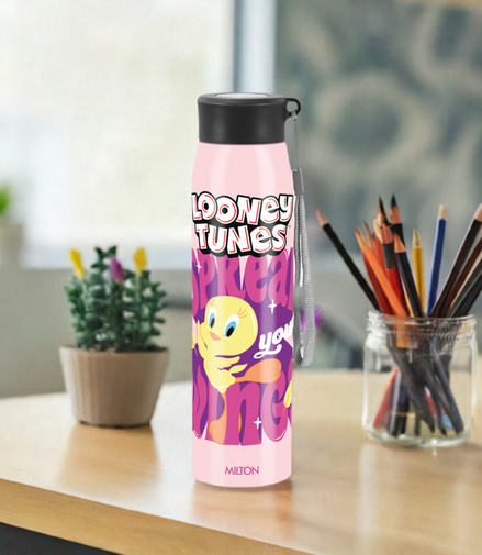 Milton Handy 3D Design Looney Tunes Stainless Steel Bottle